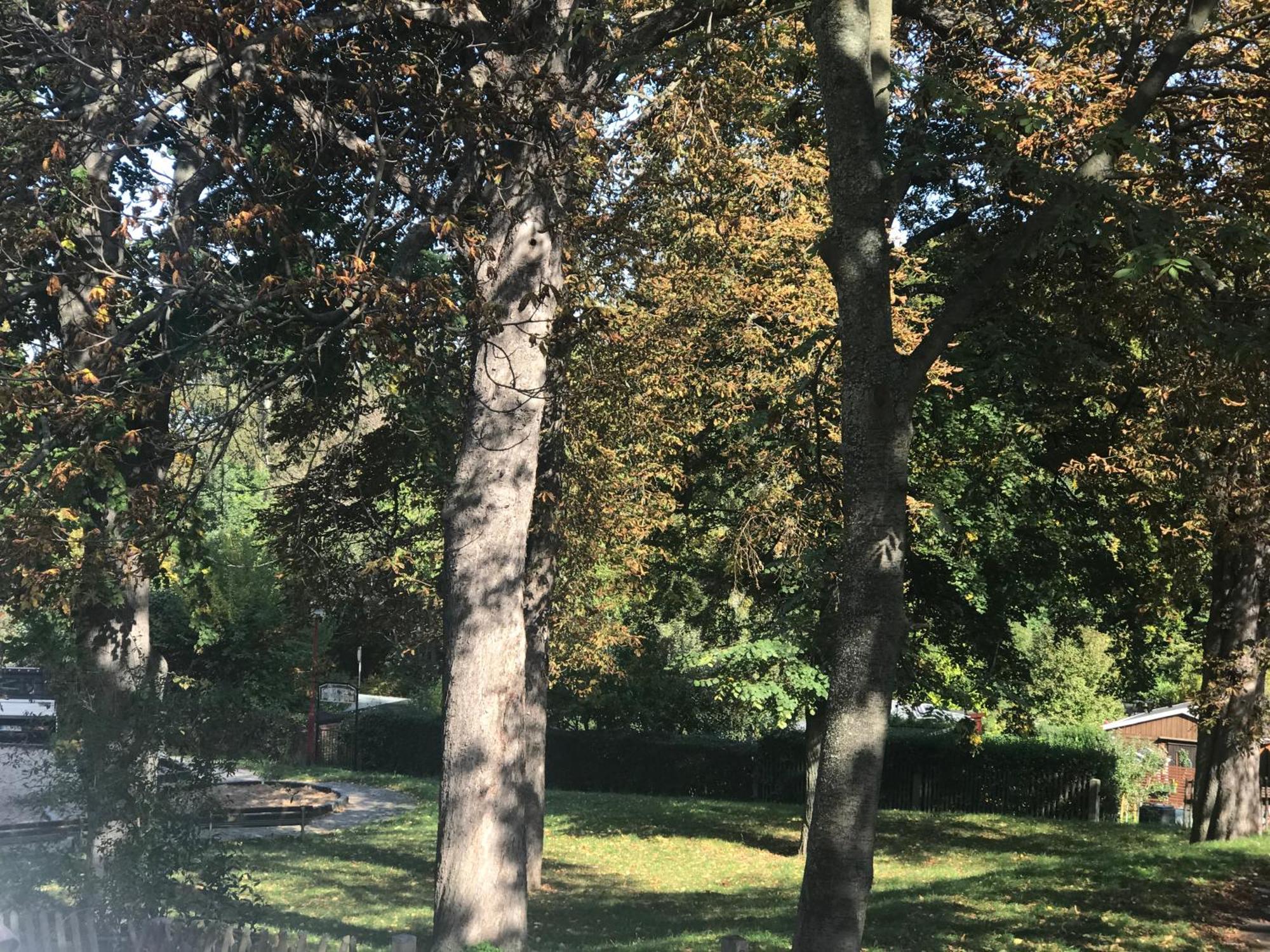 Domizil Eutschuetzblick